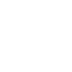 Litigation Support Services