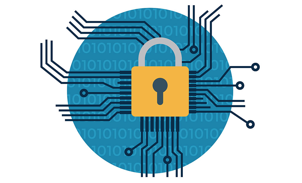 Network Security Vector Icon